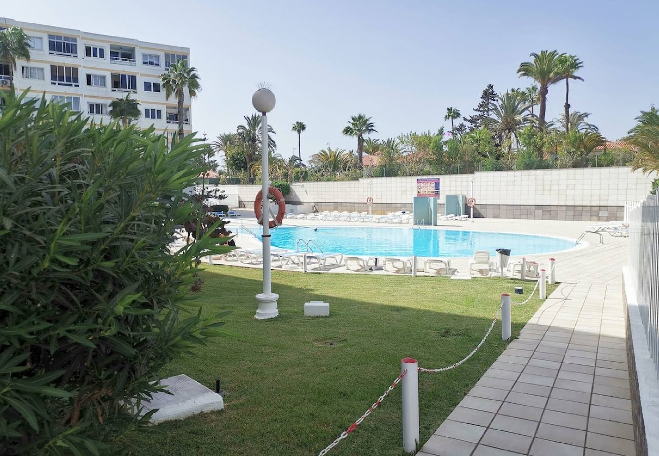 Apartamento en Playa del Ingles - Aloe 331