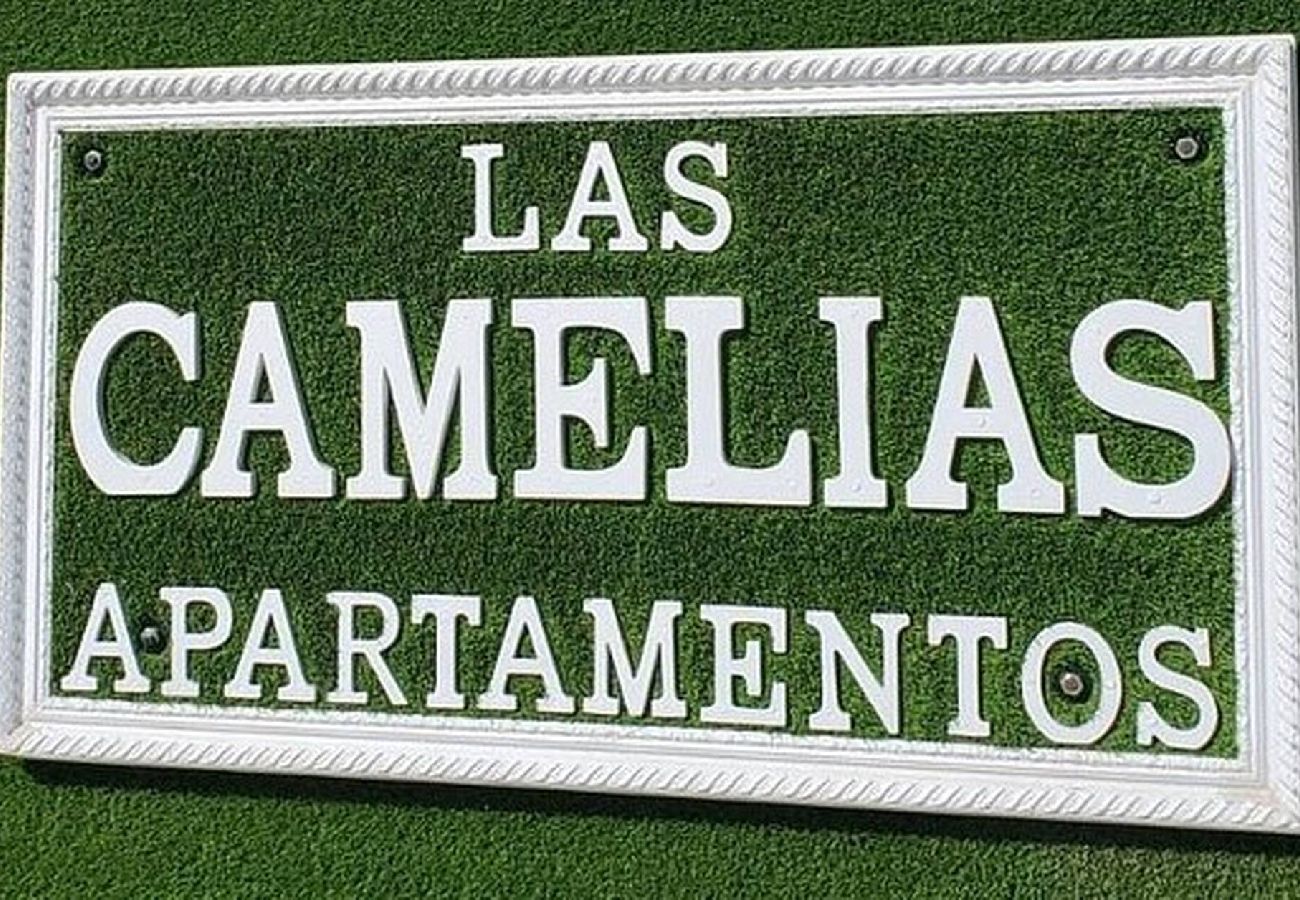 Apartamento en Playa del Ingles - Las Camelias 215