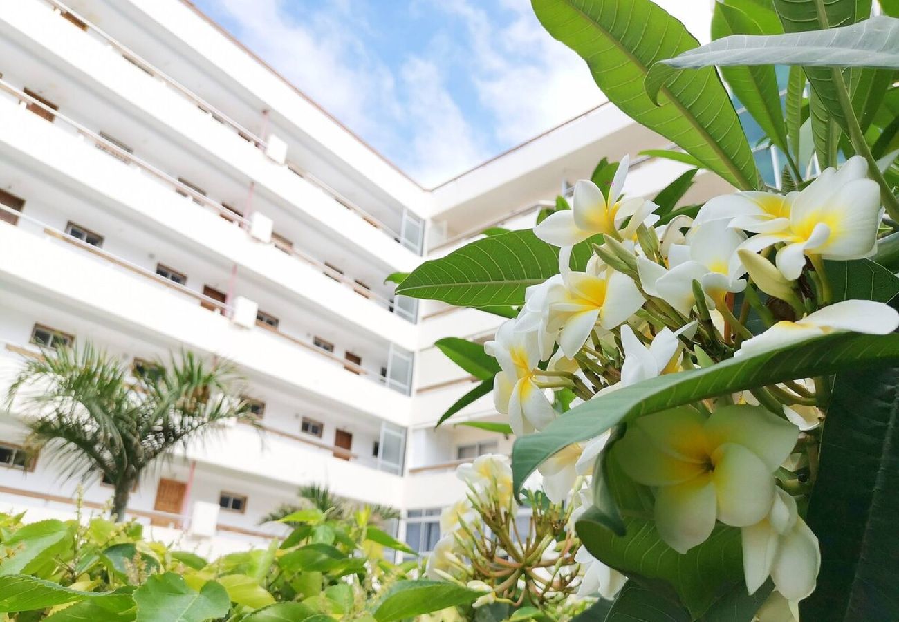 Apartamento en Playa del Ingles - Las Camelias 215