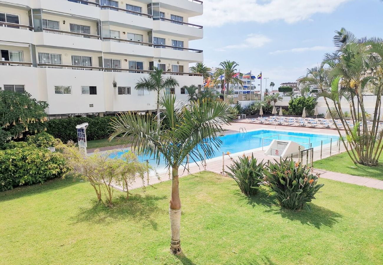 Apartamento en Playa del Ingles - Las Camelias 215