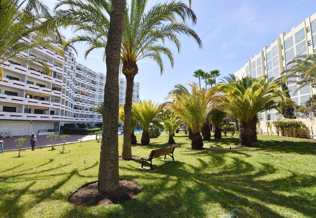 Apartment in Playa del Ingles - Agaete Park 128