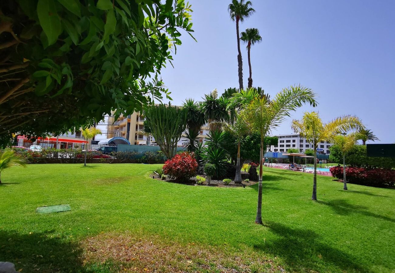 Apartment in Playa del Ingles - IGUAZU 1 403 · Apartment Yumbo with stun
