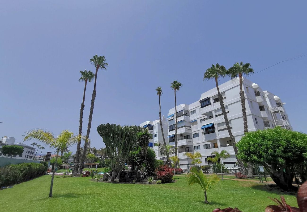 Apartment in Playa del Ingles - IGUAZU 1 403 · Apartment Yumbo with stun
