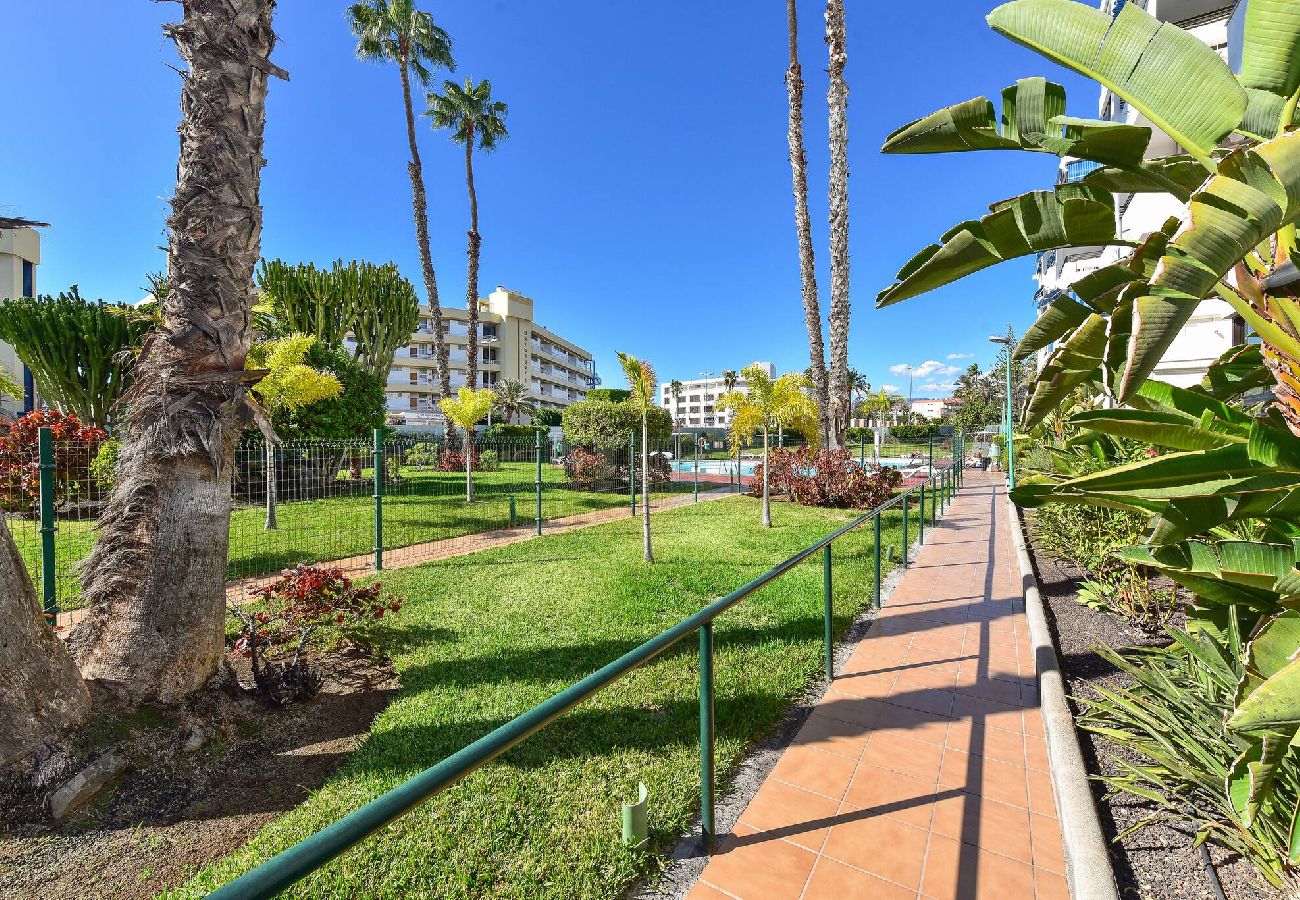 Apartment in Playa del Ingles - Iguazu 1-202