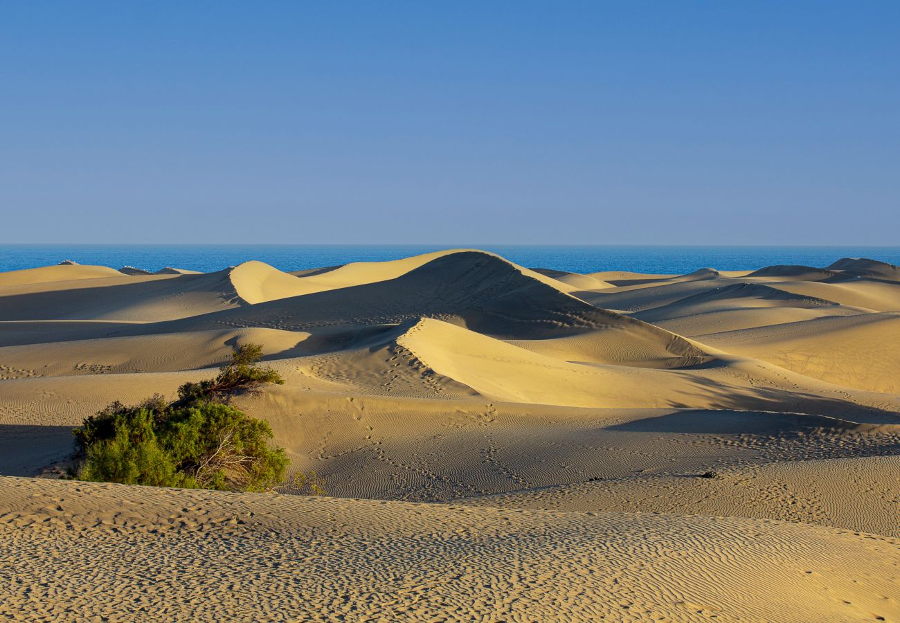 Studio in Maspalomas - Mirador 23